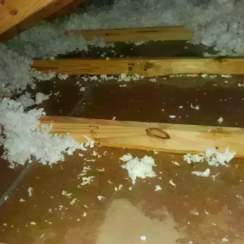 Attic Water Damage in Windsor, VA