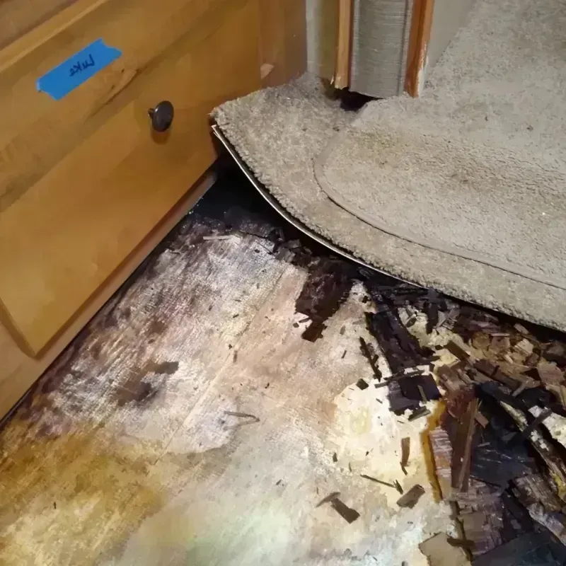 Wood Floor Water Damage in Windsor, VA